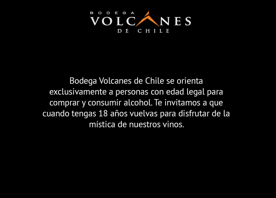 Bodega Volcanes
